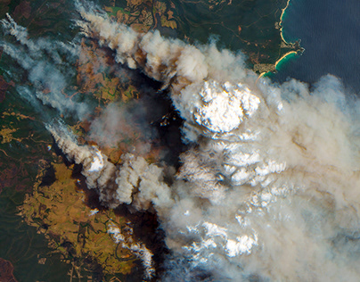 На месте крушения Ми-8 в Подмосковье нашли черные ящики