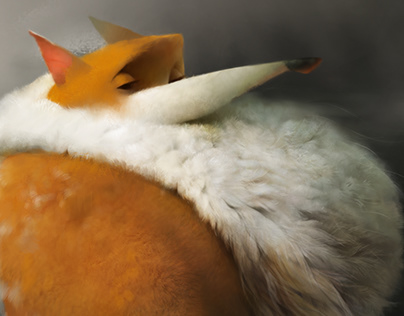 Релиз дистрибутива Tails 4.9 и Tor Browser 9.5.3